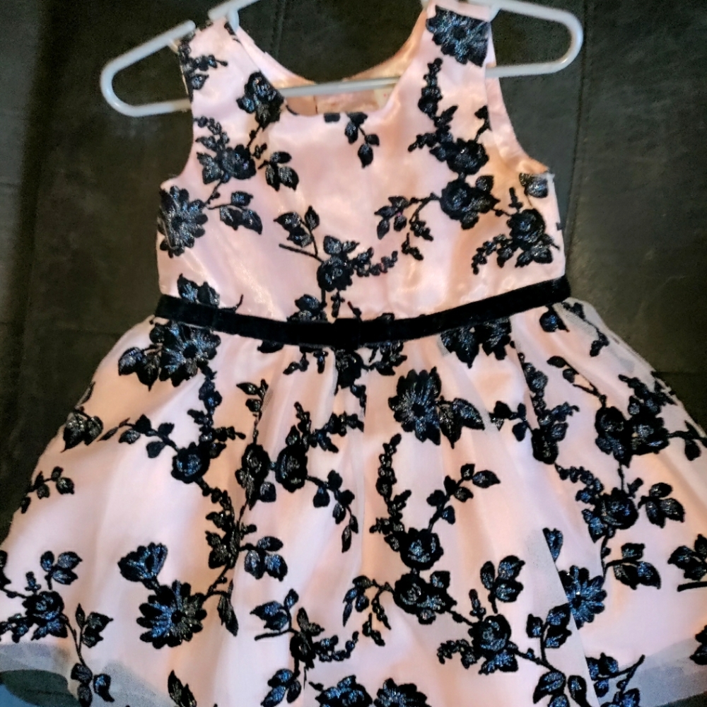 Fancy pink and black dress